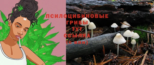 бутират Балахна