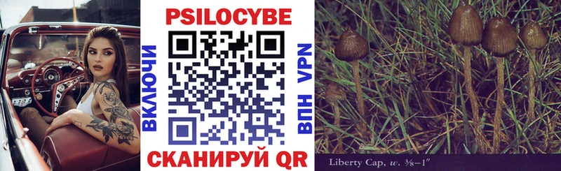 Галлюциногенные грибы Cubensis Кудрово